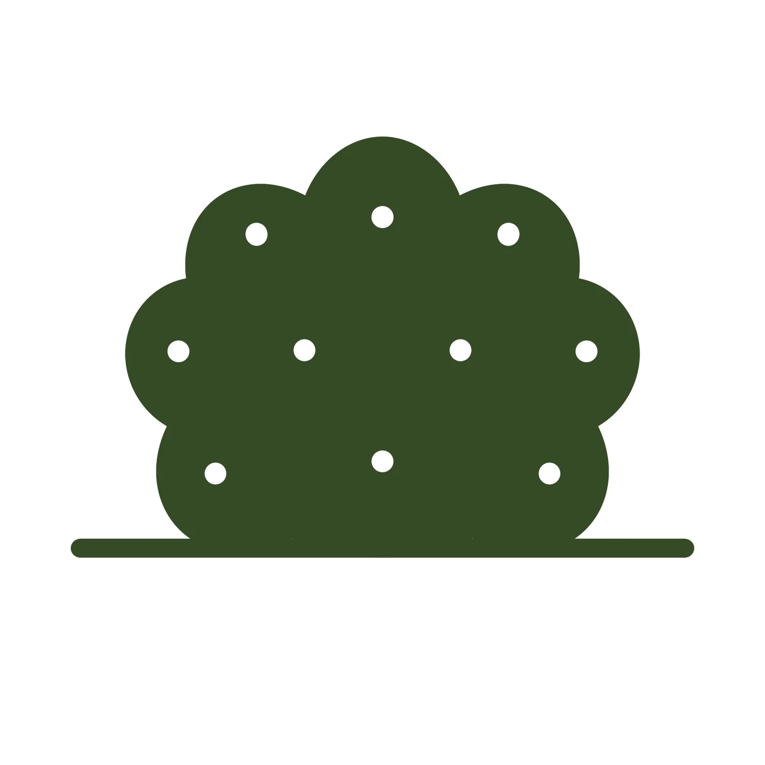 Viburnum plicatum 'Rosace' Shrub - Image 2