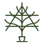 Opal Plum Tree - Image 8